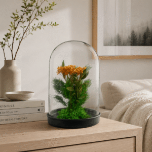 Terrarium Collection: Rice flower & ming fern
