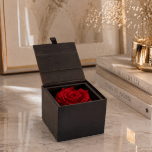 Preserved Rose in gift box La Secret