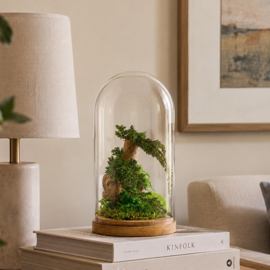 Terrarium Collection: Juniperus & wood