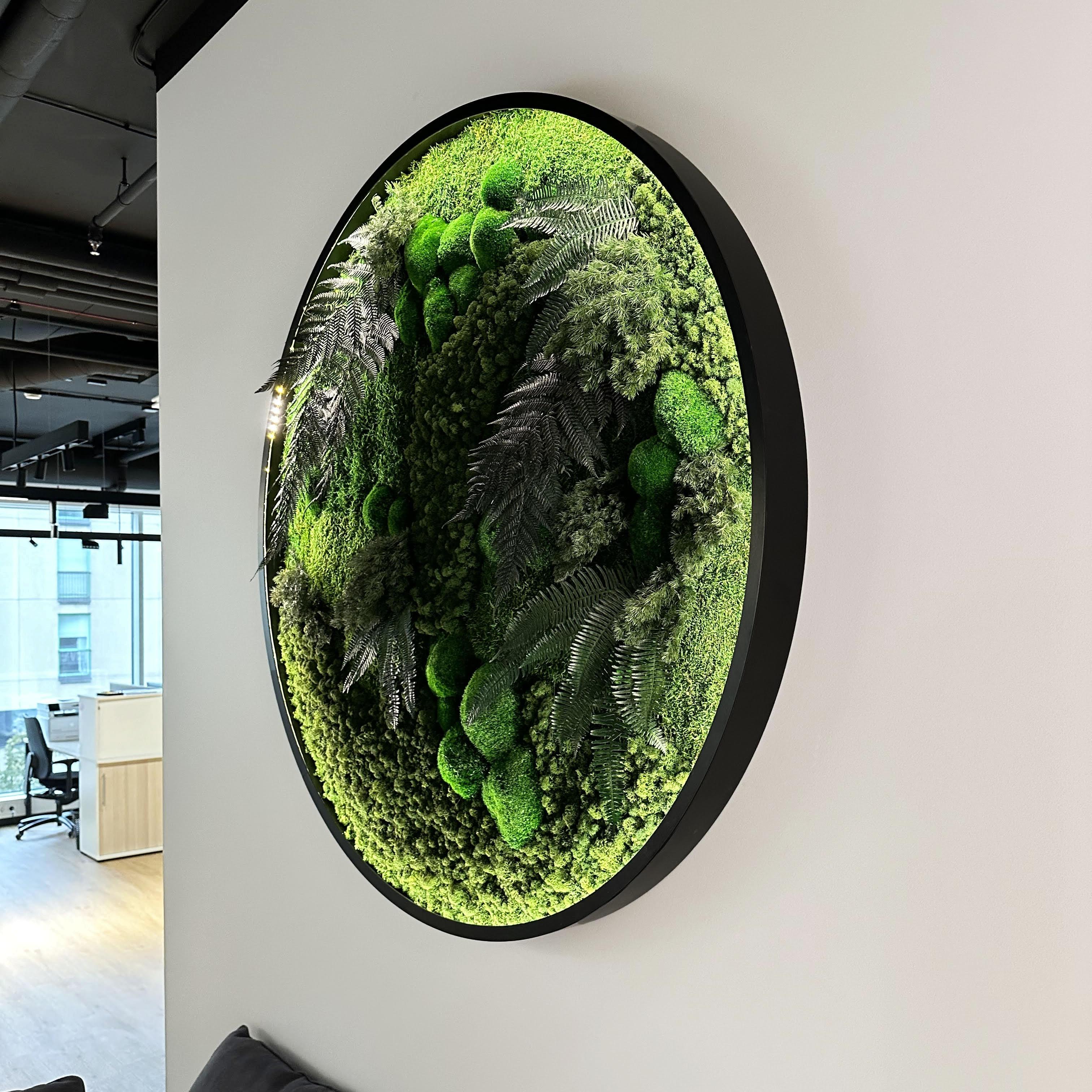 Moss picture in LED frame ring D800 - 1200 mm