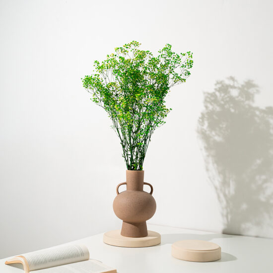 Stabiliseeritud Kipslill – Phytowall