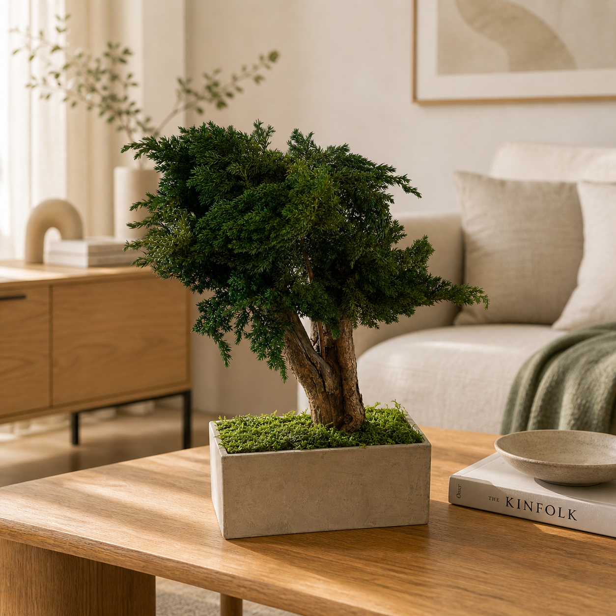 Stabiliseeritud bonsai Juniperus 4