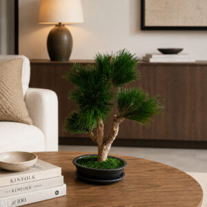 Preserved Bonsai Pine 40 cm