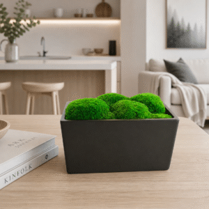 Lillepott stabiliseeritud samblaga Greenhill 1