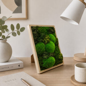 Table Moss picture 6 32 x 23 cm