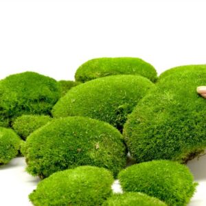 Greenhill samblamättad