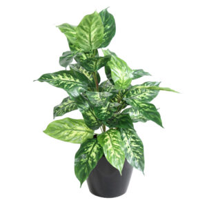 Kunstlik Dieffenbachia 70 cm