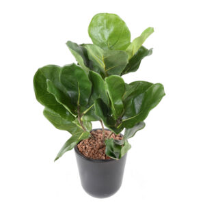 Kunstlik lyrata pott 44 cm