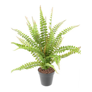 Kunstlik Boston sõnajalgpõõsas 50 cm