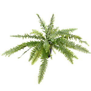Artificial boston fern D85 cm