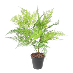 Artificial fern bush 80 cm