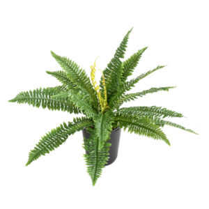 Kunstlik sõnajalg D50 cm