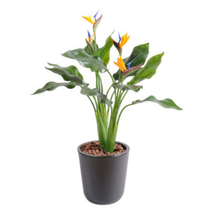Kunstlik Strelitzia 50 cm