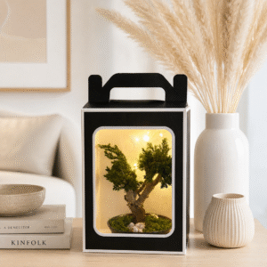 Stabiliseeritud bonsai kinkekarbis LED-valgustusega