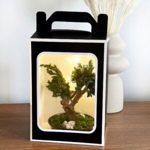 Стабилизированный бонсай в подарочной коробке с LED-подсветкой