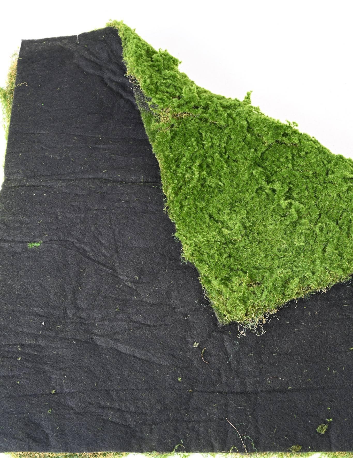 rf-100-100-moss-plate (2)