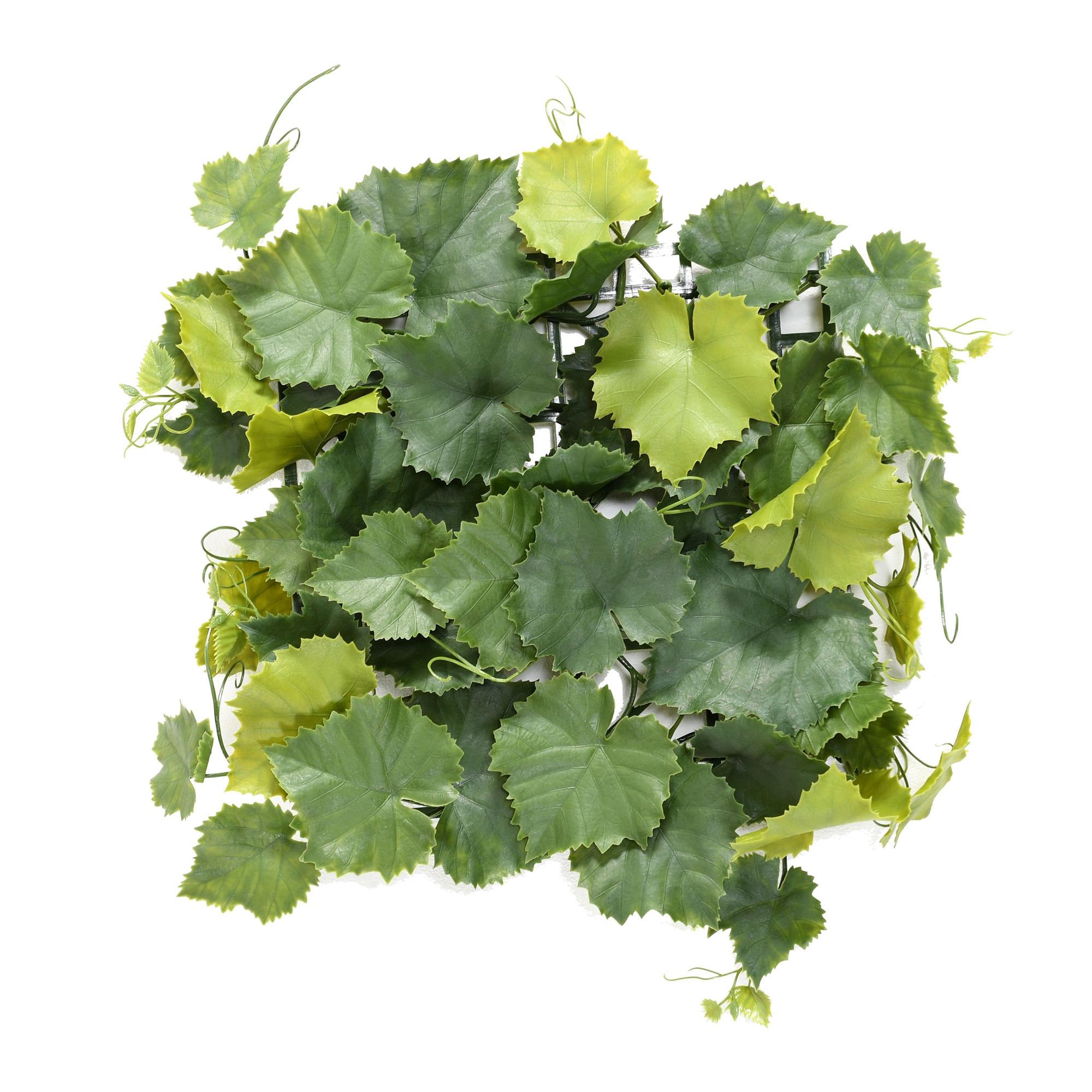 Paneel viinamarjalehtedega 35×35 cm