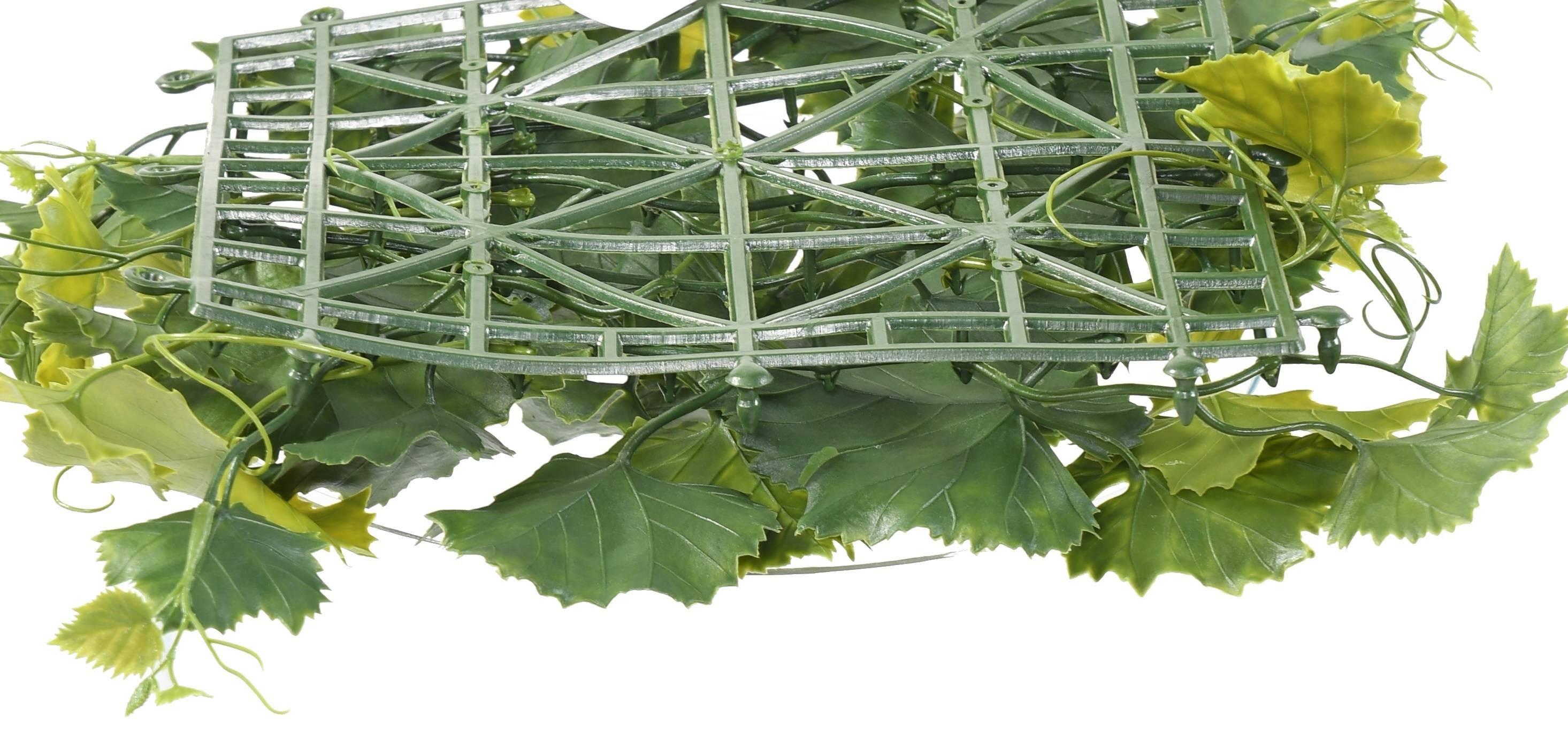 vine-plast-plate45-uv (1)