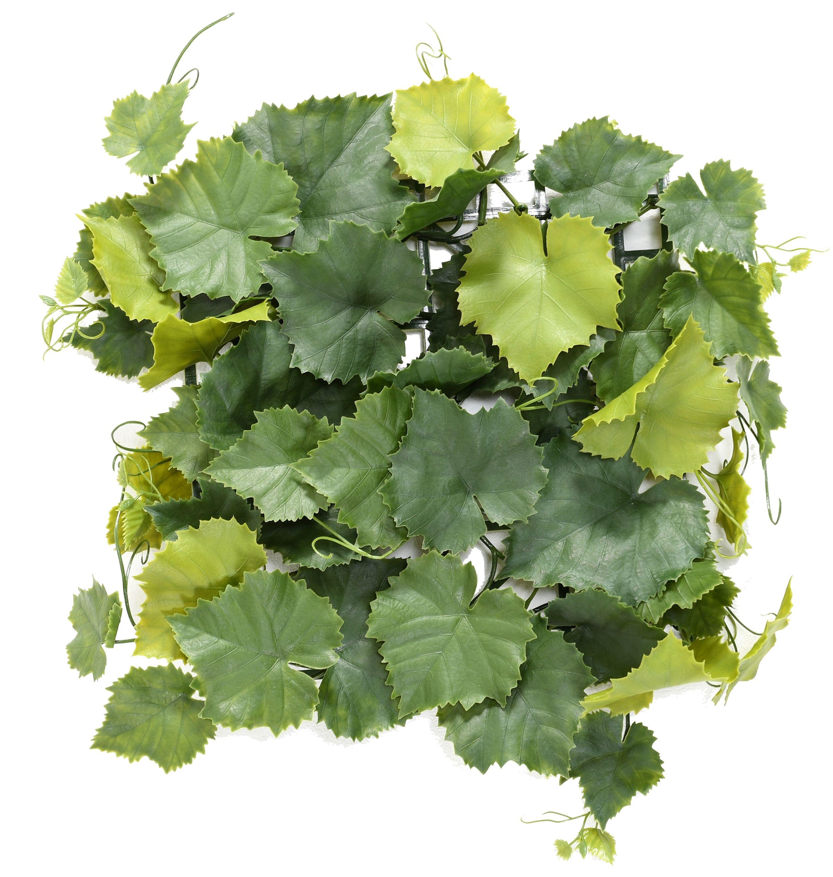 vine-plast-plate45-uv (2)