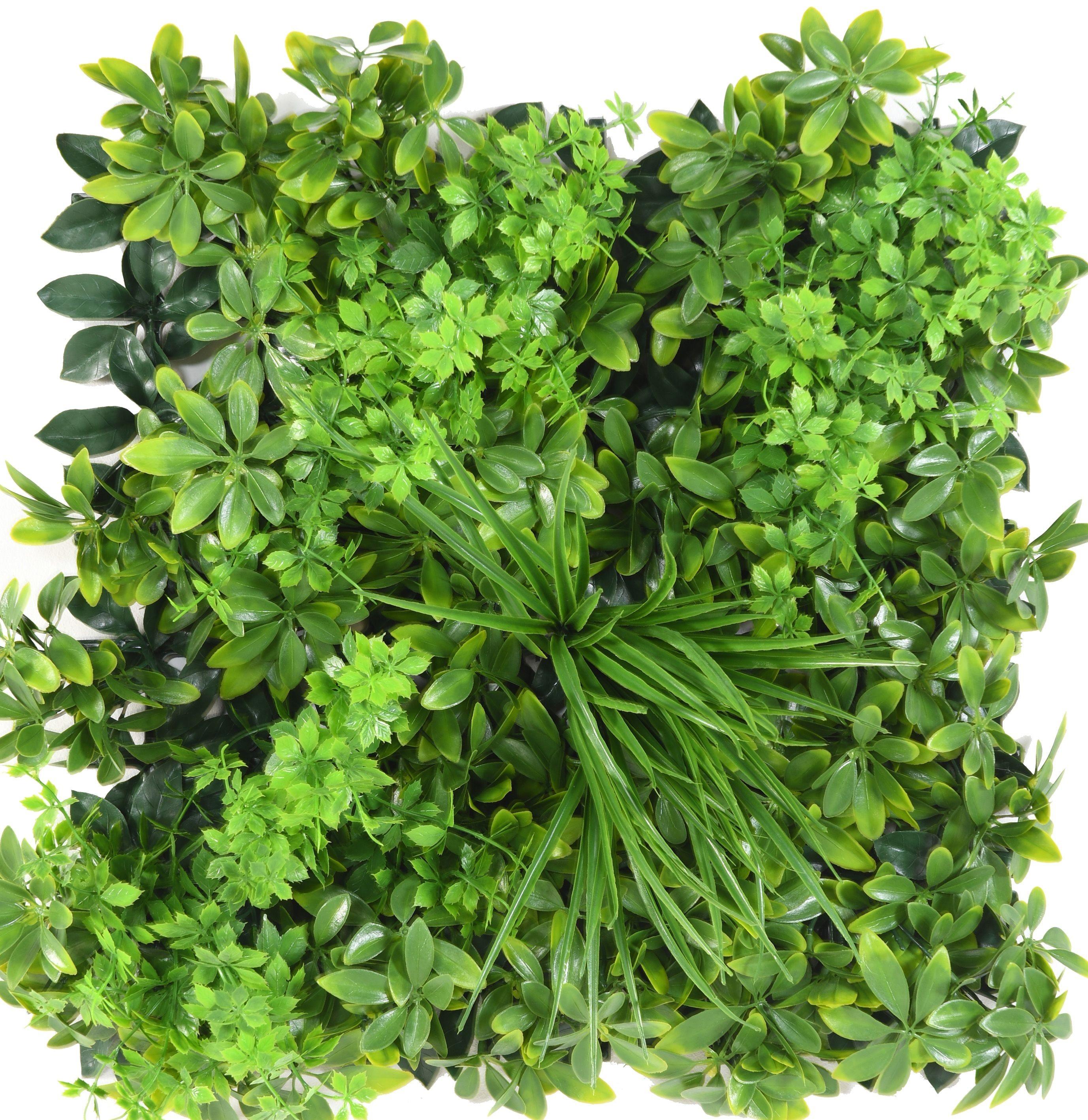 wall-plate-d-5050 (1)