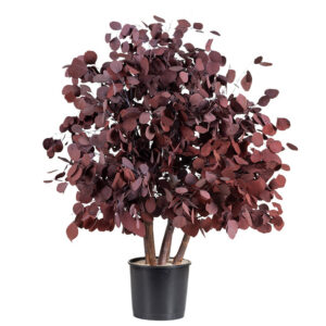Preserved Populus Bush 100 cm