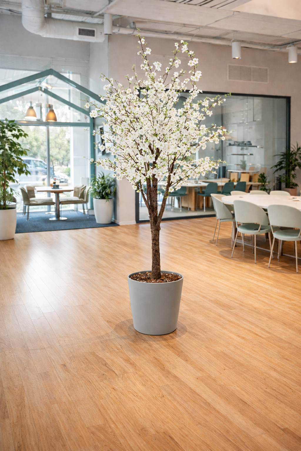 cherry-blossom-tree-tp (1)