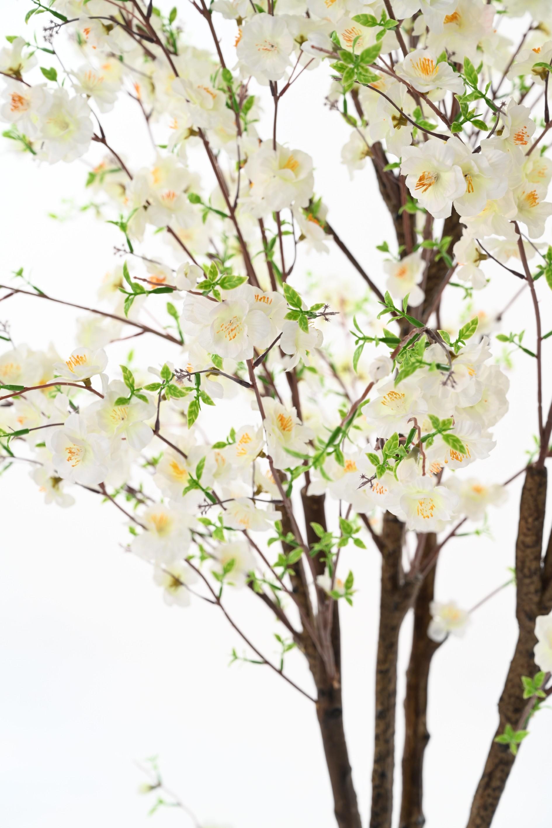 cherry-blossom-tree-tp (2)