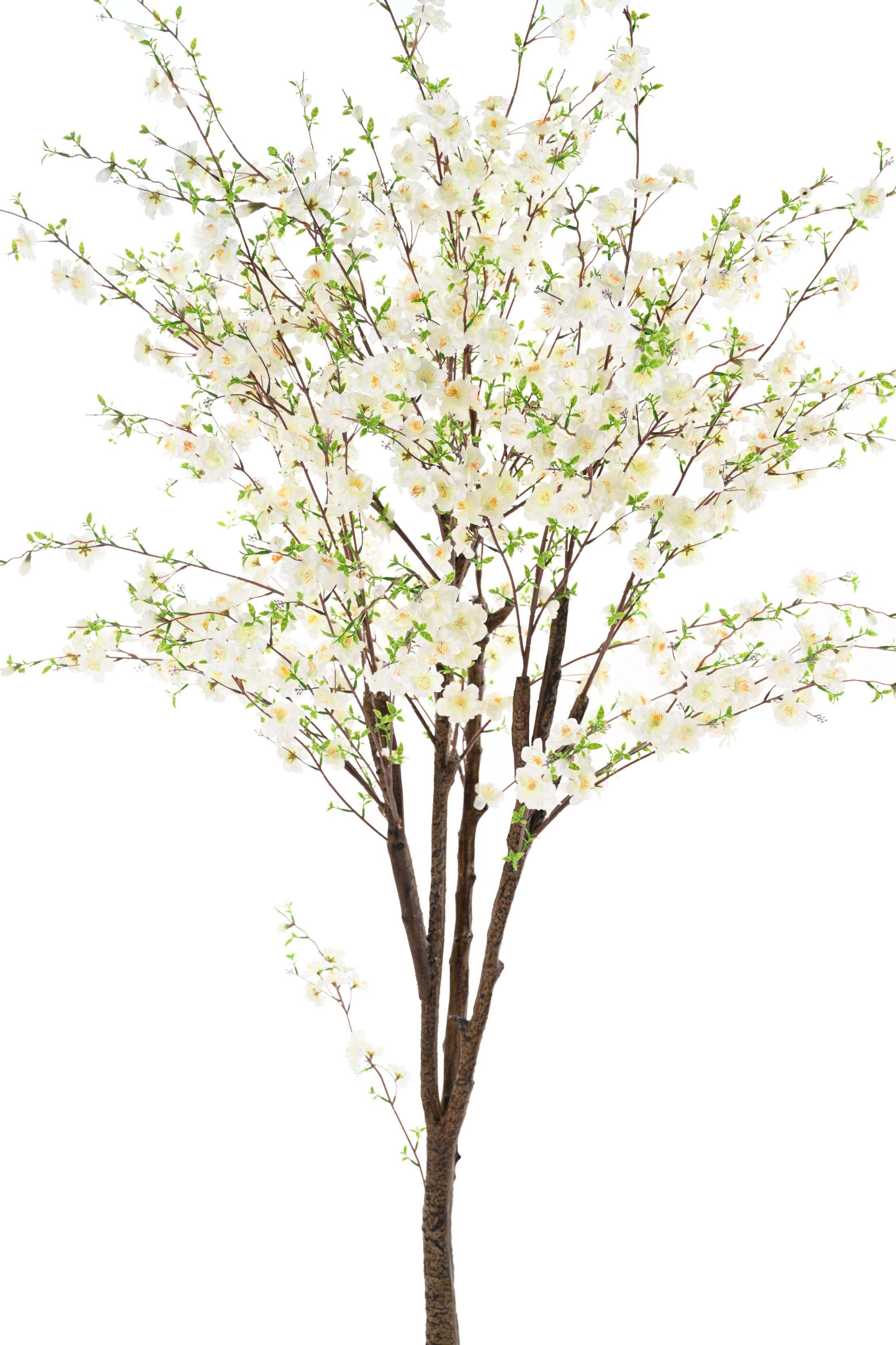 cherry-blossom-tree-tp (3)