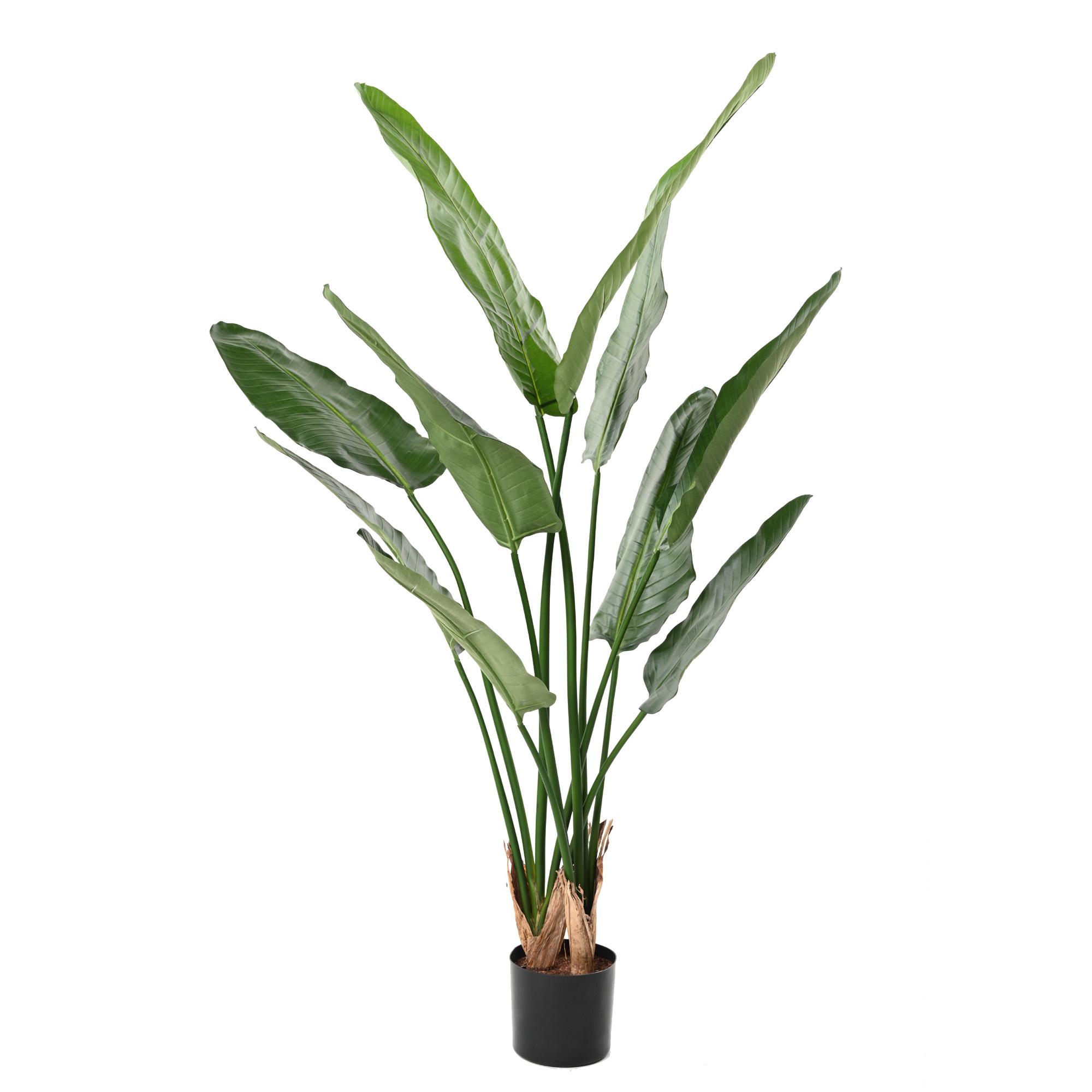 Kunstlik Strelitzia Nicolai 150, 185, 220 cm