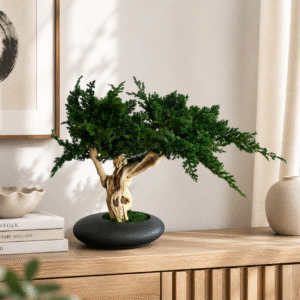 Preserved Bonsai Ryokusei 35 cm