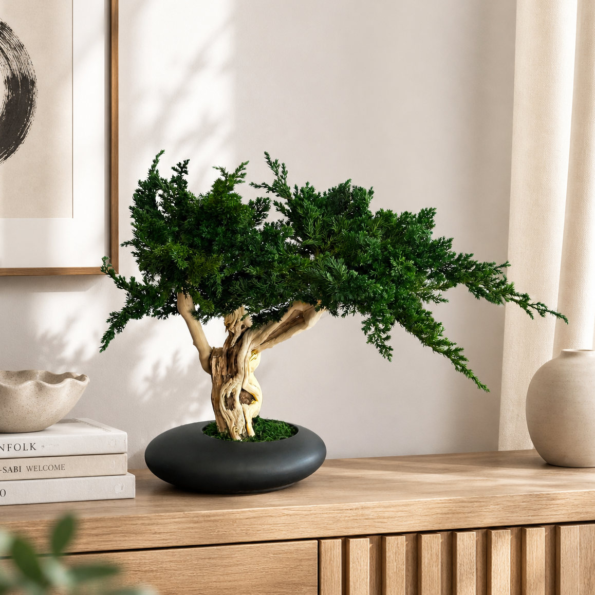 Stabiliseeritud bonsai Ryokusei 35 cm