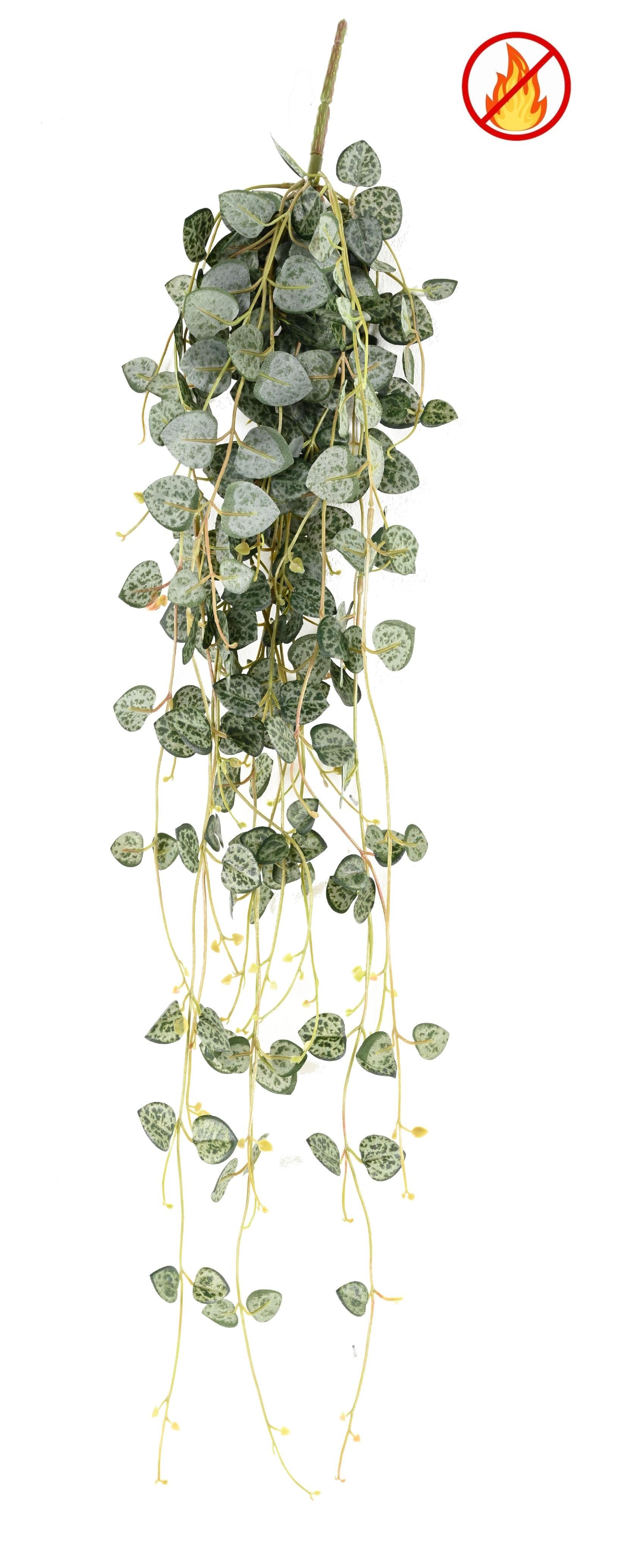 ceropegia-70-fr-fire-resistant (1)