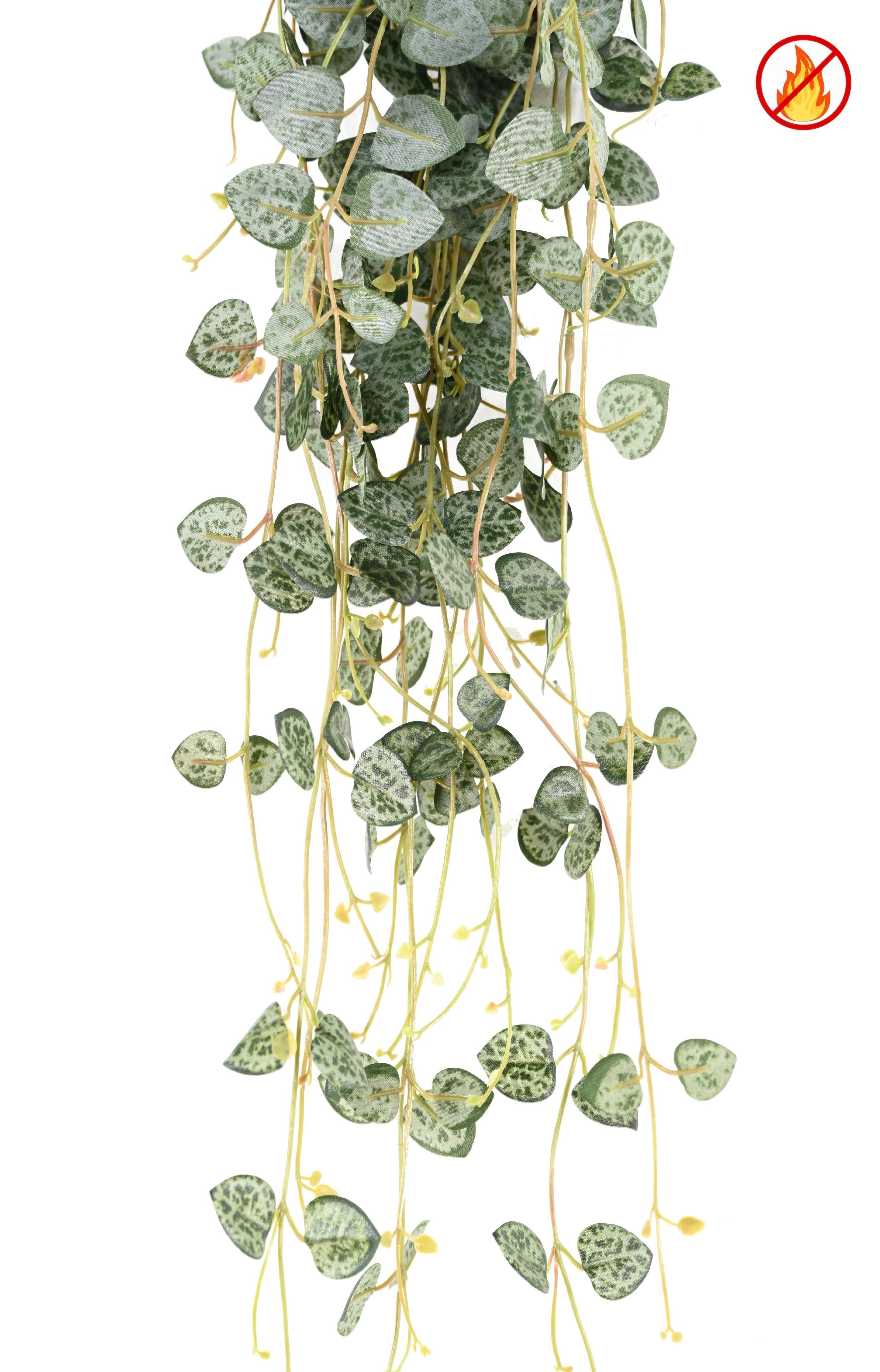 ceropegia-70-fr-fire-resistant