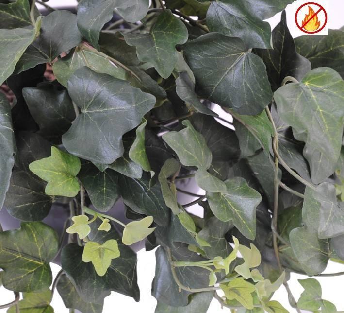 gala331-fr-ivy-fire-resistant (1)