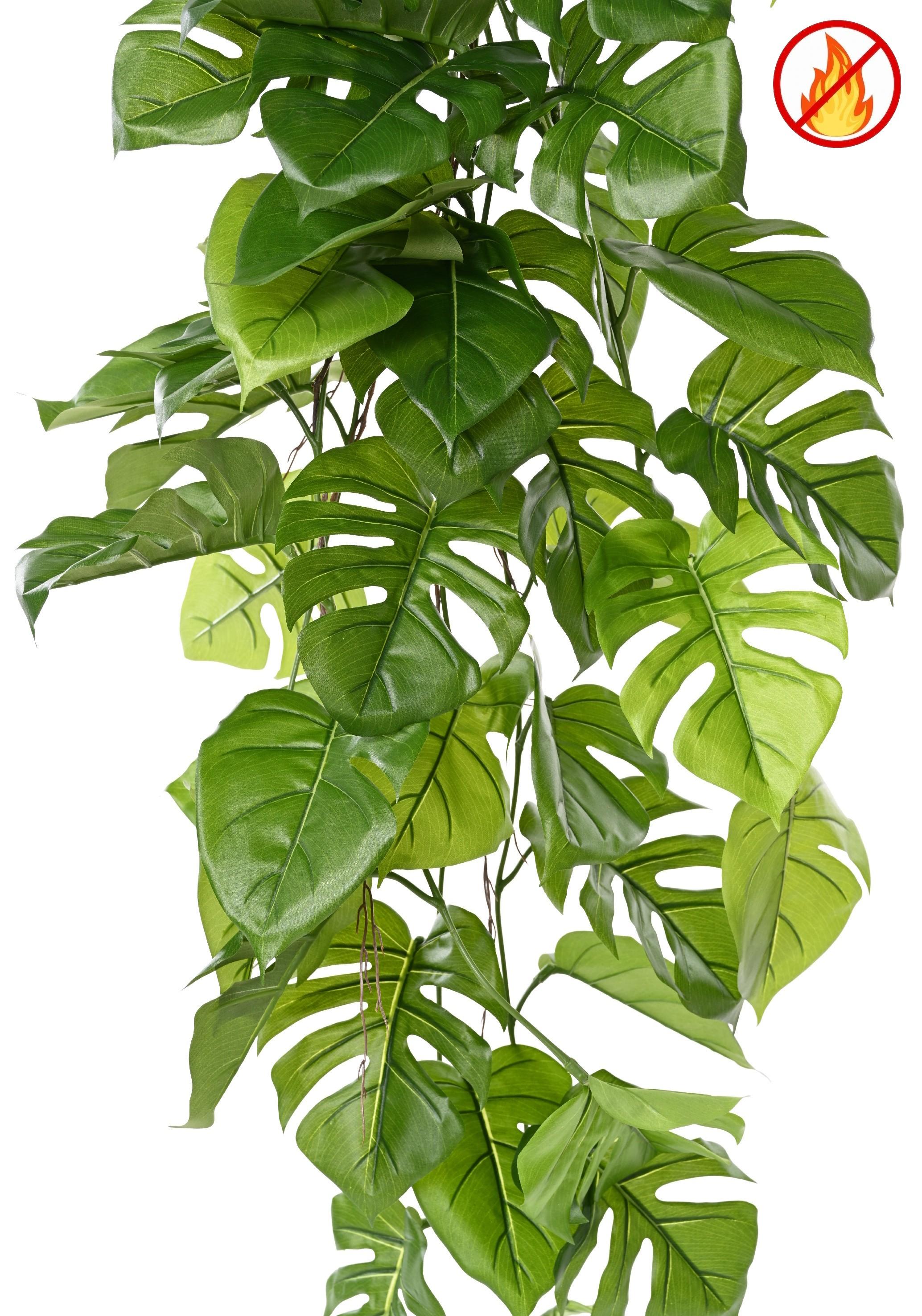 philodendron-monstera-hanging-bush-120-fr-fire-resistant (1)