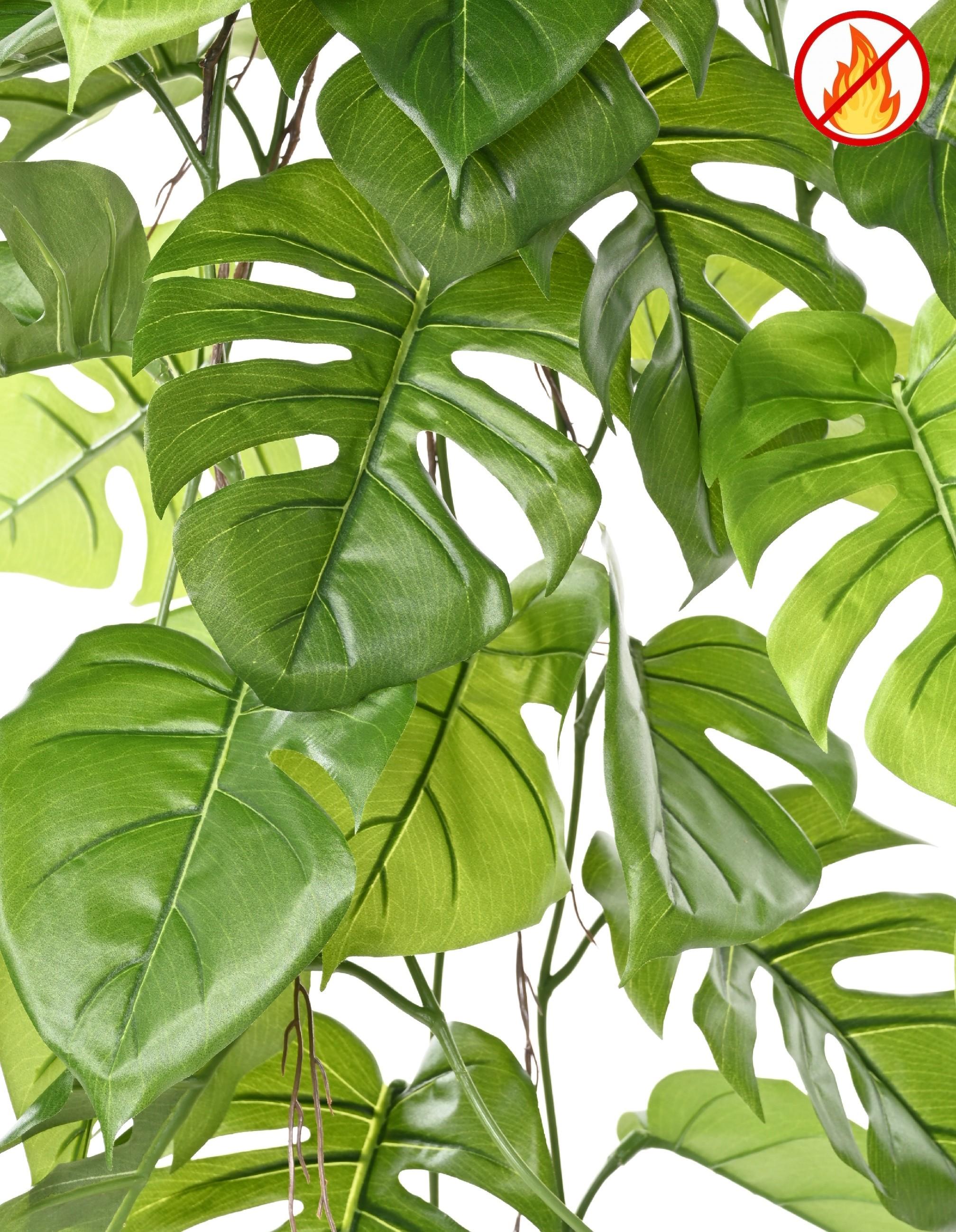 philodendron-monstera-hanging-bush-120-fr-fire-resistant (2)