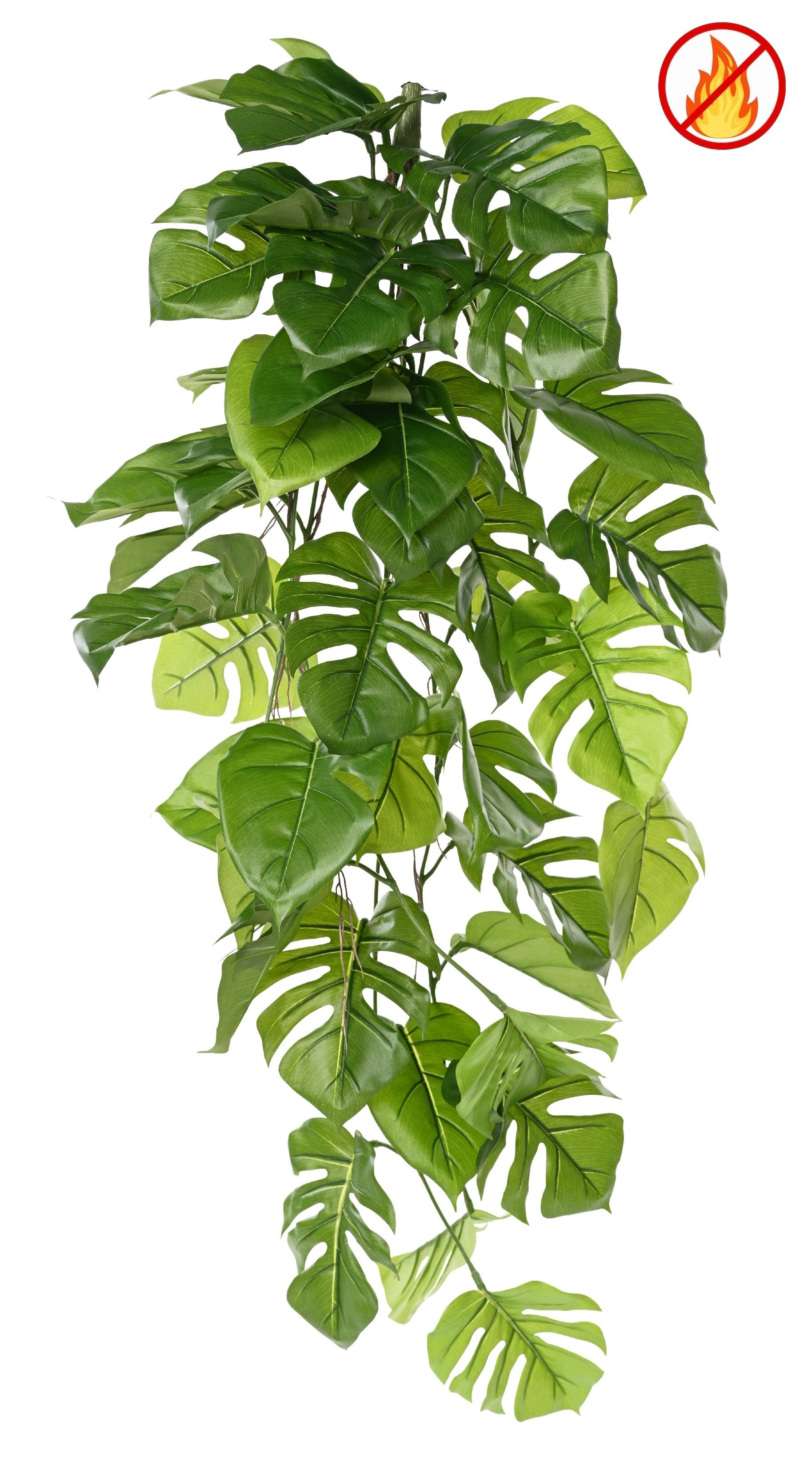 philodendron-monstera-hanging-bush-120-fr-fire-resistant