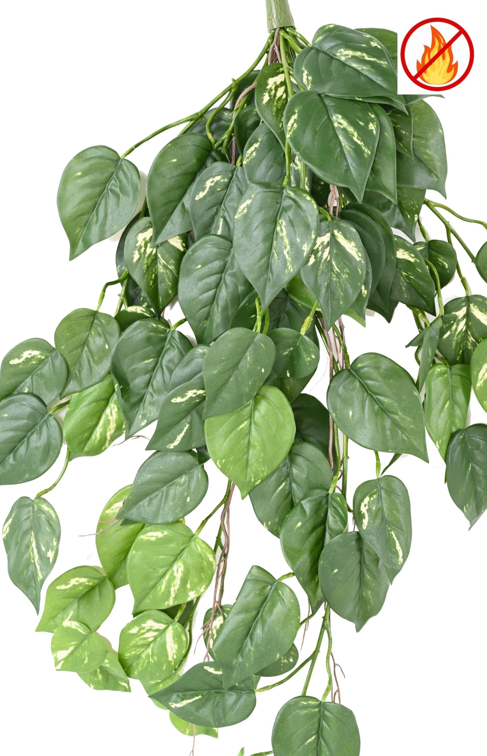 pothos-hanging-bush-95-fr-fire-resistant (1)