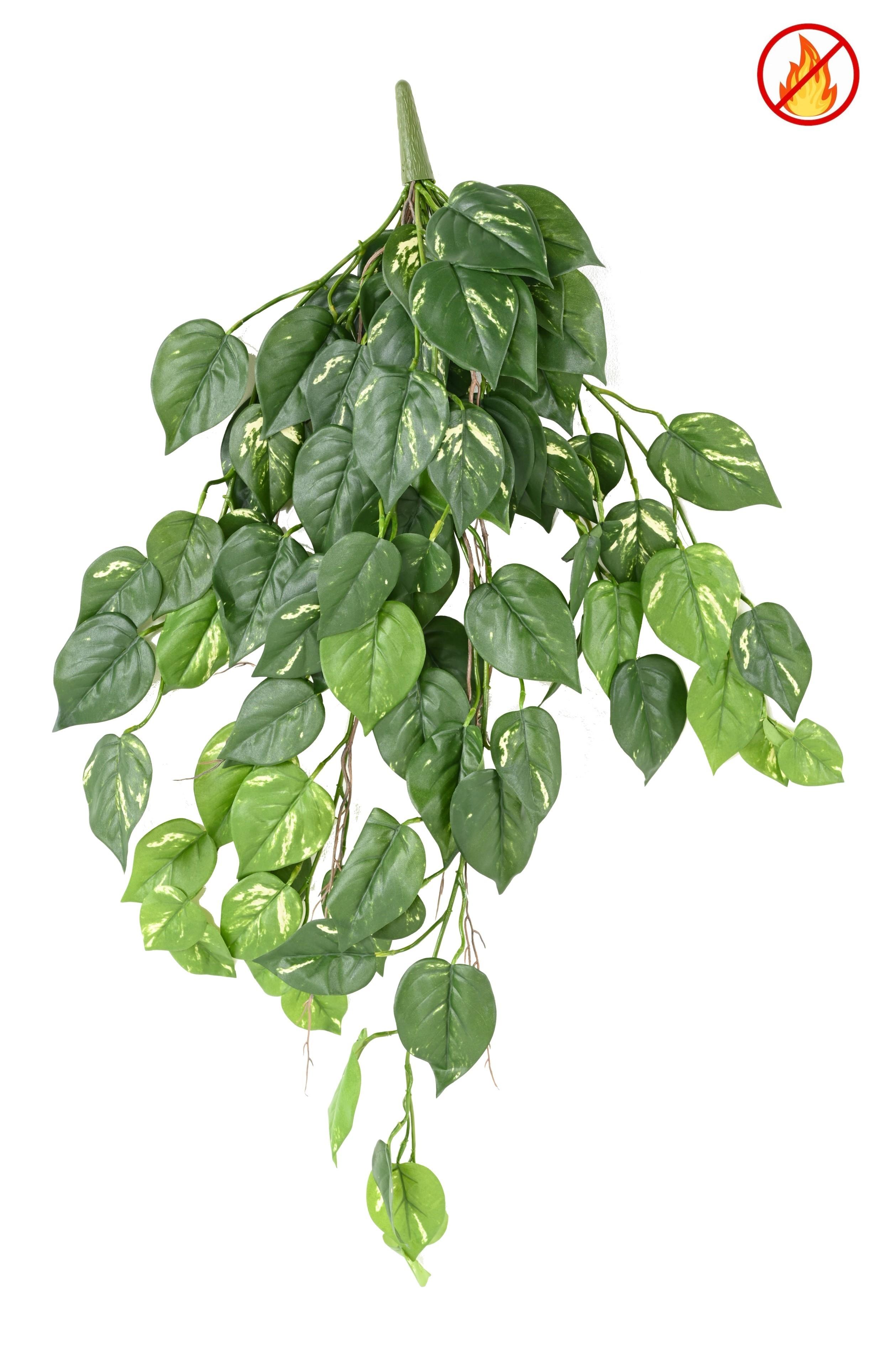 pothos-hanging-bush-95-fr-fire-resistant