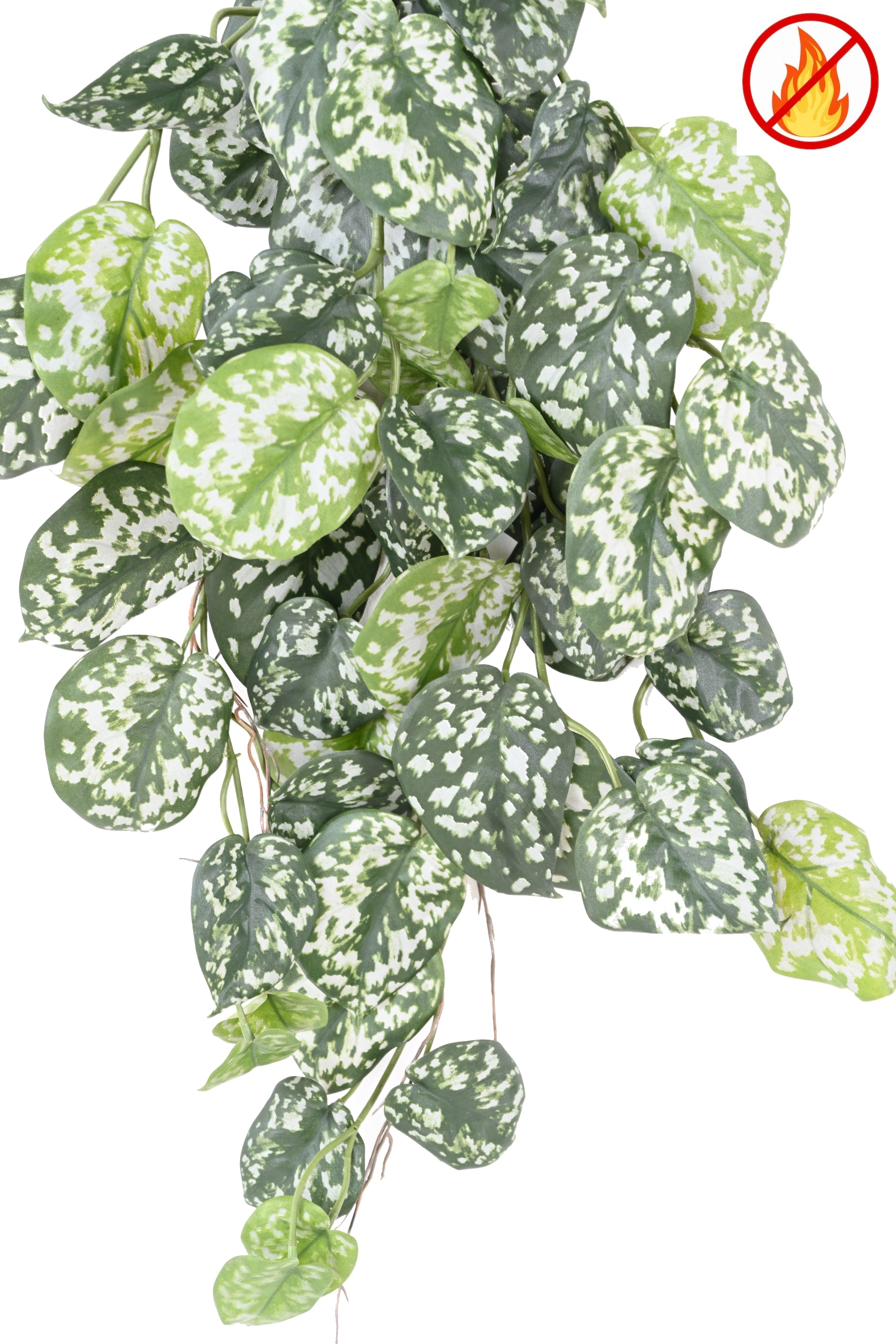 scindapsus-60-fr-fire-resistant (1)