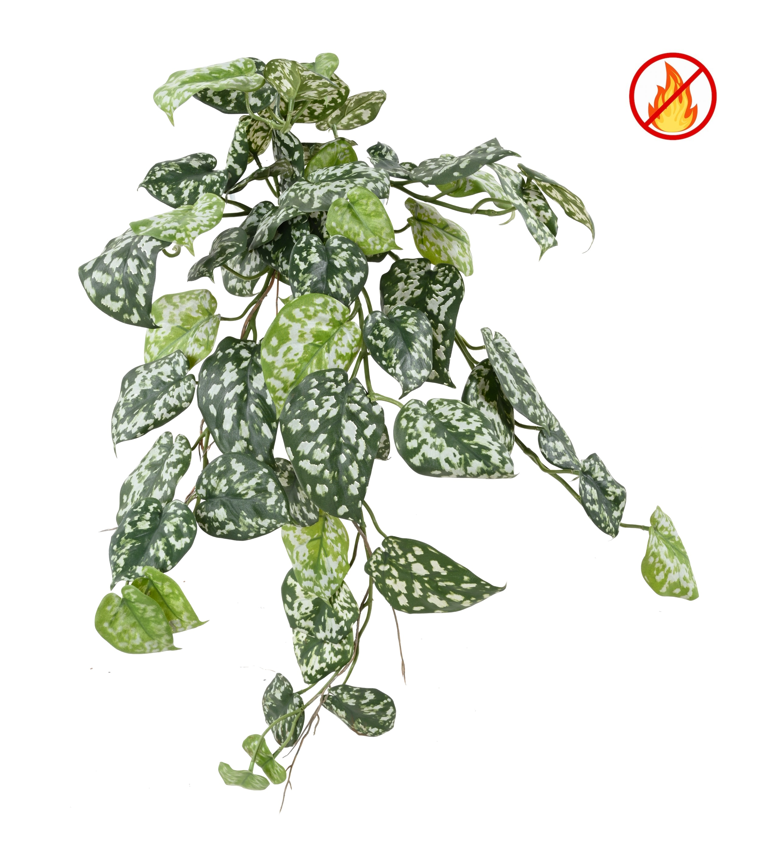 scindapsus-60-fr-fire-resistant (2)