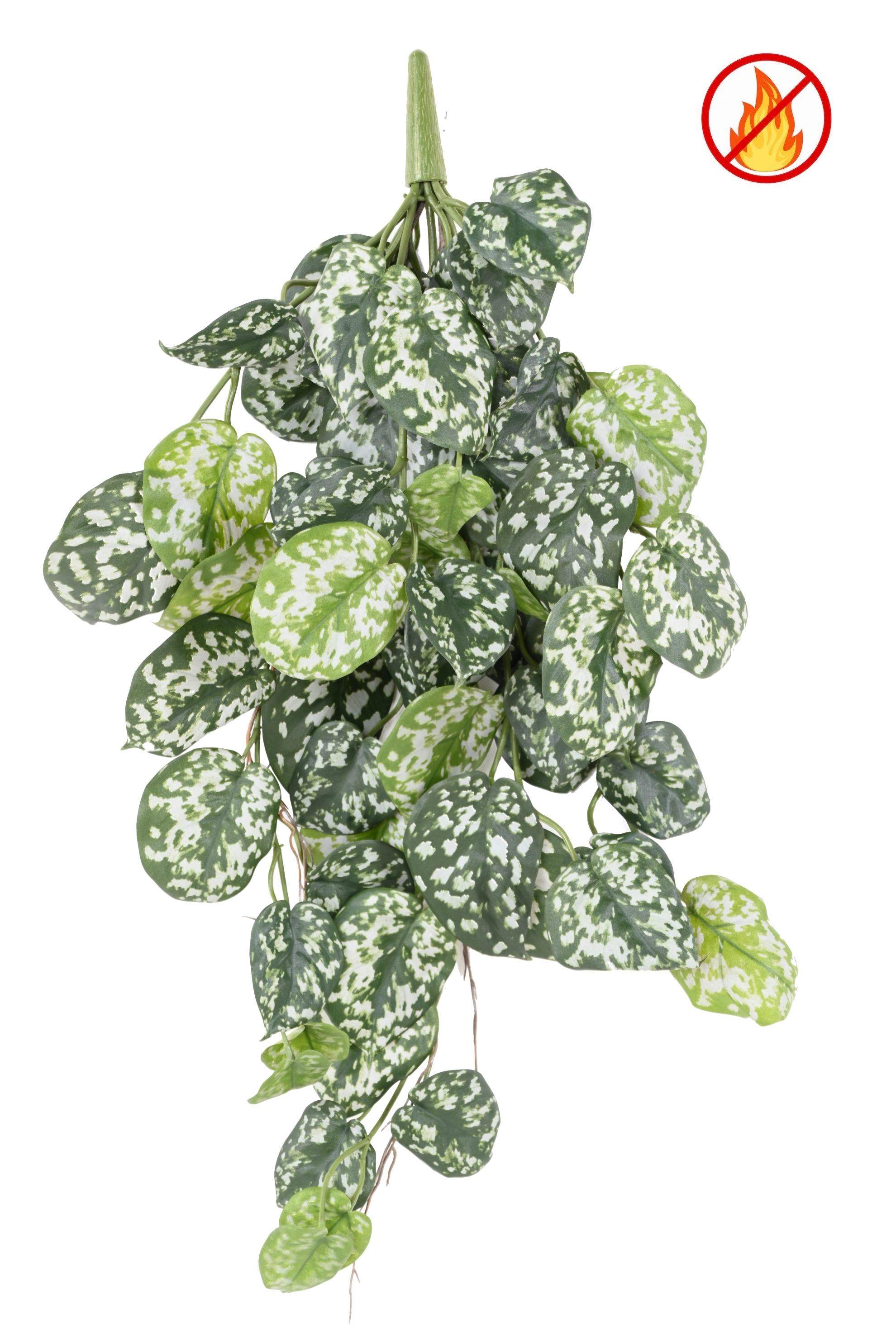 scindapsus-60-fr-fire-resistant
