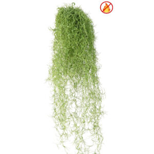 Kunst Tillandsia – Tulekindel