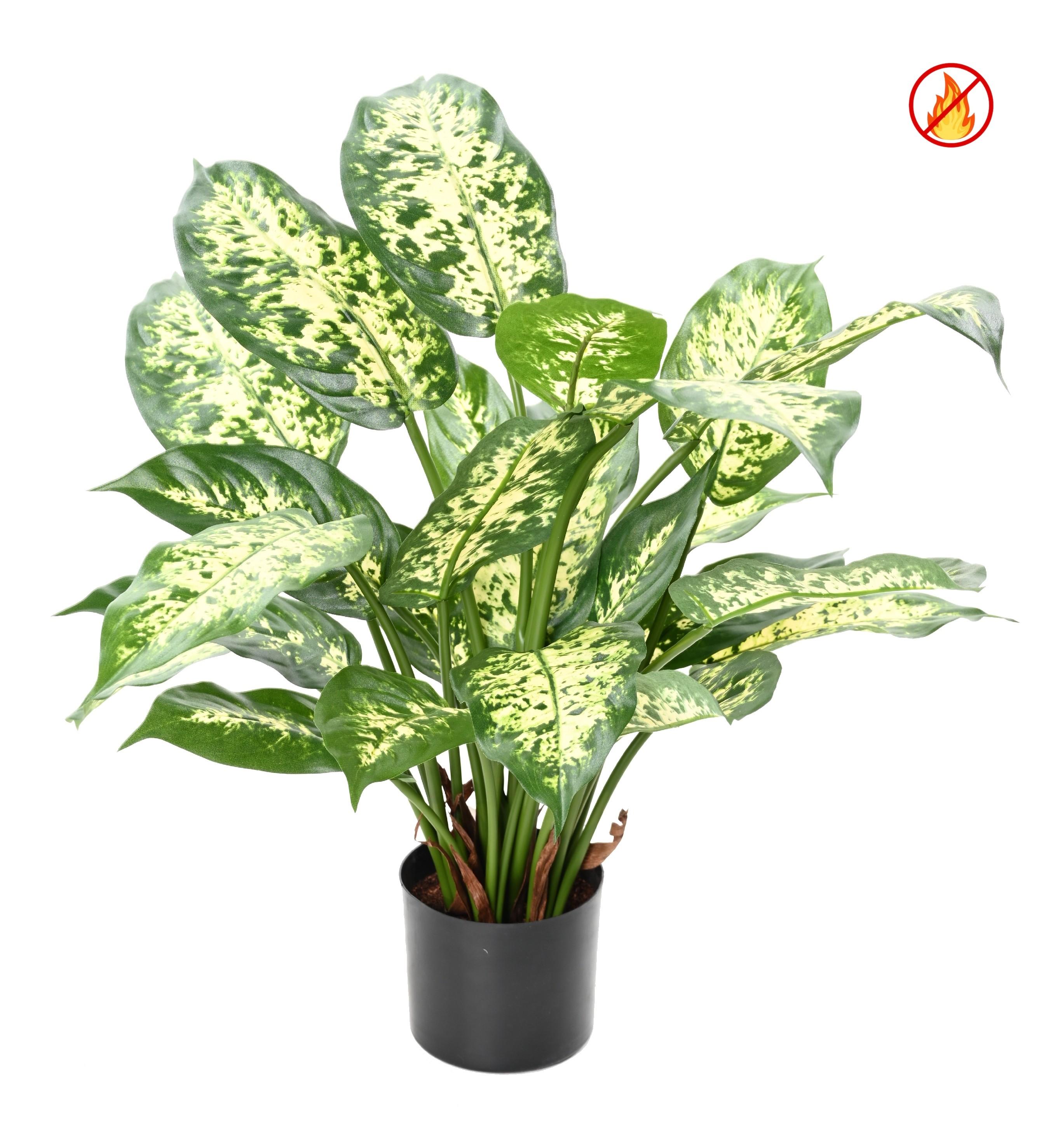 Kunstlik Dieffenbachia potis - tulekindel