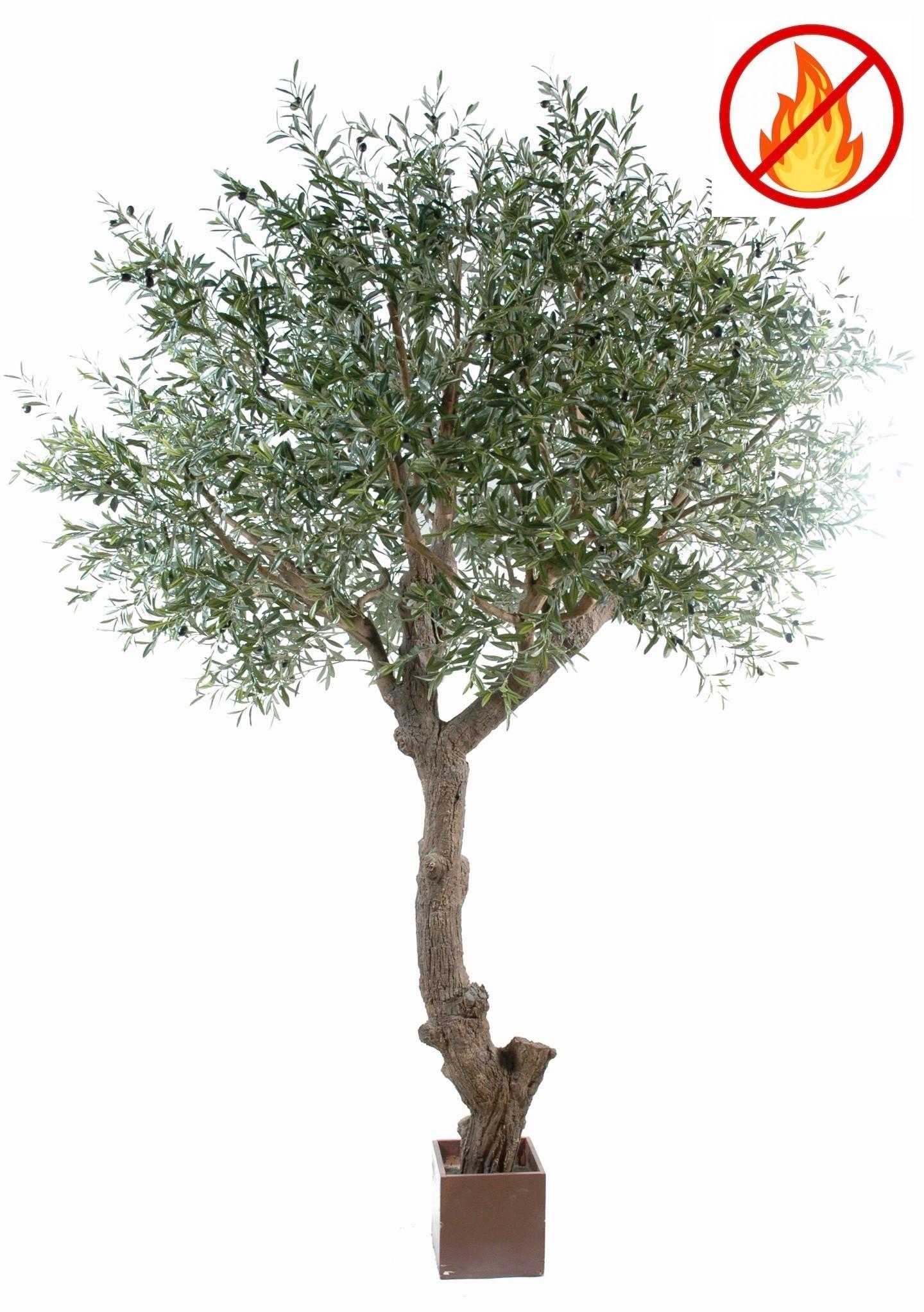 olivier-tete-geant-270-fr-fire-resistant